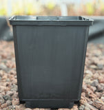 Pots 11x11x12cm